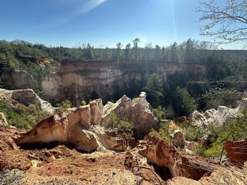 A scenic view of a deep canyon surrounded by trees under a clear blue sky. Sunlight illuminates the rocky landscape.
