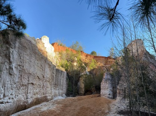A scenic view of a canyon with tall, layered cliffs and a clear blue sky above.