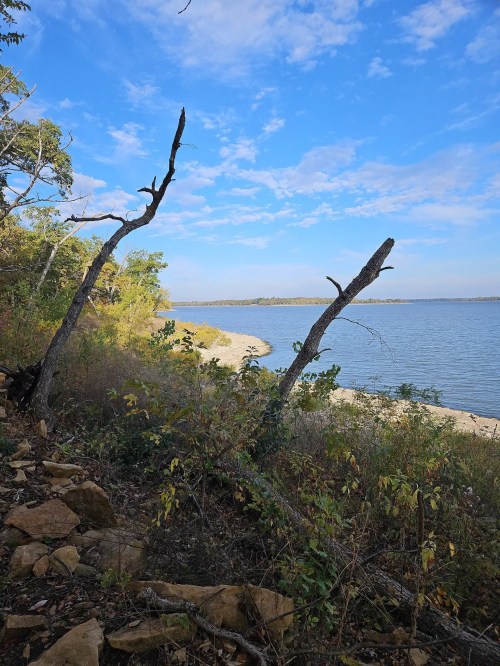 A serene lakeside view with trees, a sandy shore, and a blue sky dotted with clouds.