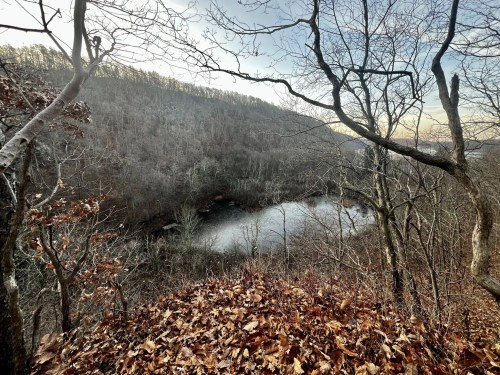 A serene view of a pond surrounded by bare trees and autumn leaves, set against a hilly landscape.