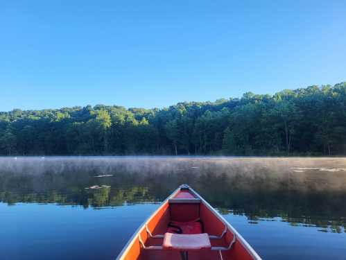 A canoe on a calm lake with mist rising, surrounded by lush green trees under a clear blue sky.