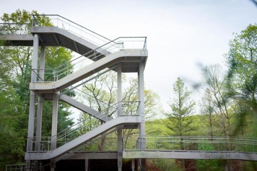 A modern, multi-level staircase surrounded by trees, leading up to a scenic view.