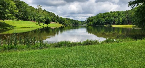 A serene lake surrounded by lush greenery and trees under a cloudy sky. Reflections shimmer on the water's surface.