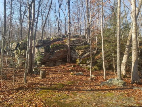 A rocky outcrop surrounded by trees and fallen leaves in a wooded area during autumn.