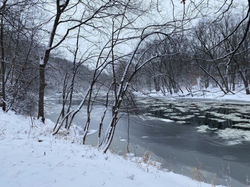 A snowy landscape with bare trees lining a frozen river, creating a serene winter scene.