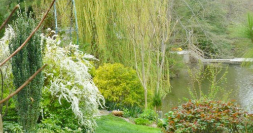 Lush garden with flowering shrubs and trees beside a calm lake, featuring a wooden bridge in the background.