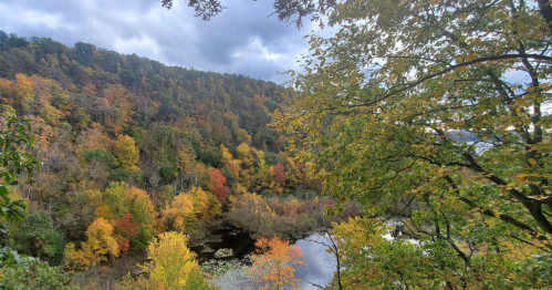 A scenic view of a colorful autumn forest reflecting in a calm body of water under a cloudy sky.