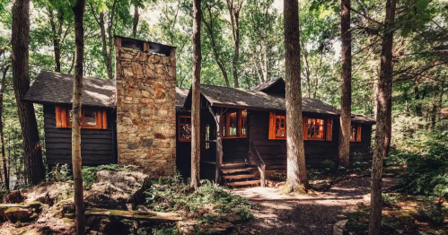 A rustic cabin nestled among tall trees, featuring a stone chimney and large windows, surrounded by lush greenery.