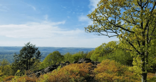 A scenic view of rolling hills and trees under a blue sky, with vibrant greenery and rocky terrain in the foreground.