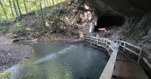 A wooden bridge crosses a calm stream leading to a cave entrance, surrounded by lush greenery and rocky terrain.