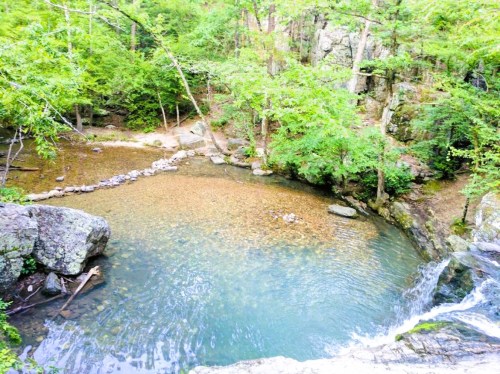 A serene natural scene featuring a clear pool of water surrounded by lush green trees and rocky terrain.