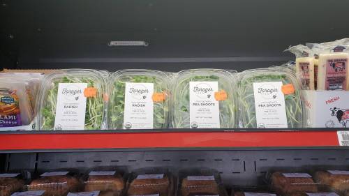 Four containers of fresh microgreens labeled "Radish" and "Pea Shoots" on a grocery store shelf.