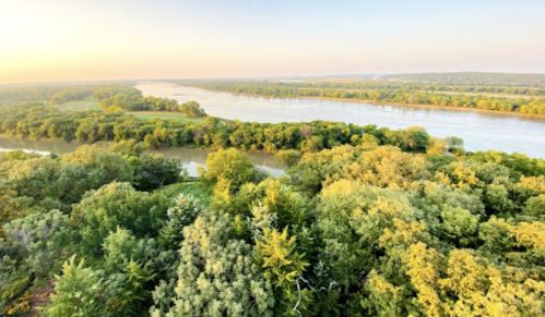 Aerial view of a winding river surrounded by lush green trees and fields under a soft sunset glow.