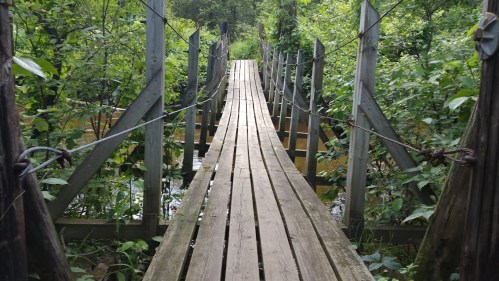 A wooden bridge stretches over a lush, green landscape, surrounded by dense foliage and water below.