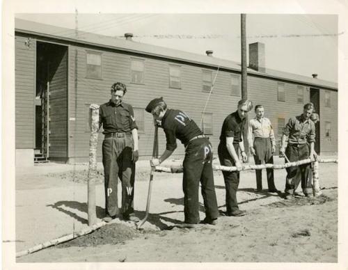 Five men working together to build a fence in front of barracks, with one man digging and others assisting.