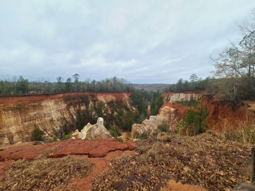 A scenic view of a canyon with red soil, green trees, and a cloudy sky in the background.