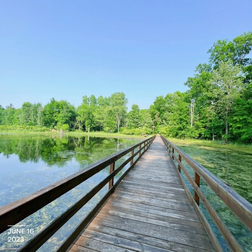 A wooden walkway extends over a calm lake, surrounded by lush green trees under a clear blue sky.