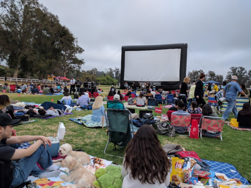 Outdoor movie screening with a large inflatable screen, people sitting on blankets, and dogs in a grassy area.