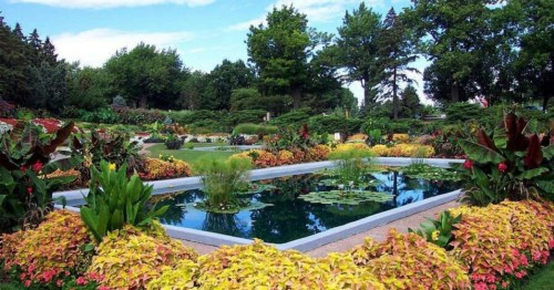 A vibrant garden featuring colorful flowers, lush greenery, and a tranquil pond with water lilies under a blue sky.