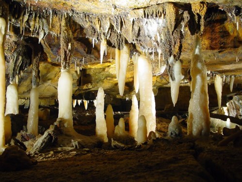 Stalactites and stalagmites in a dimly lit cave, showcasing unique rock formations and textures.
