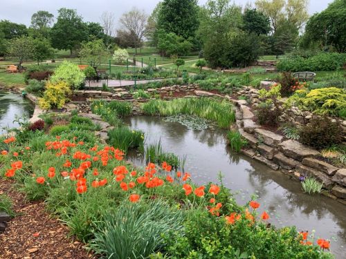A serene garden with vibrant orange flowers, a winding stream, and lush greenery under a cloudy sky.