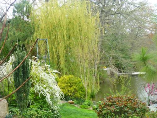 Lush garden with vibrant greenery, flowering plants, and a serene pond surrounded by trees.