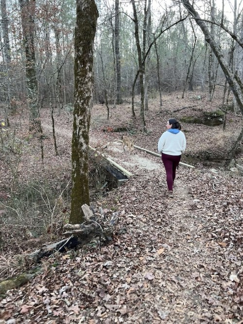 A person walks along a leaf-covered trail in a wooded area, with a dog beside them and trees in the background.