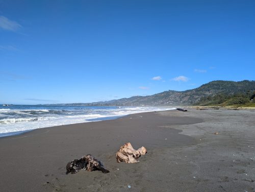 A serene beach scene with gentle waves, driftwood on the sand, and a backdrop of green hills under a clear blue sky.