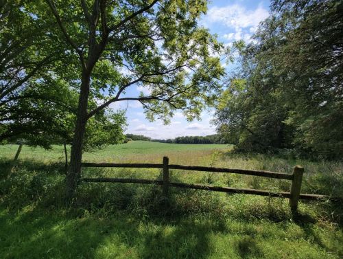 A serene landscape featuring a wooden fence, lush greenery, and a clear blue sky with scattered clouds.