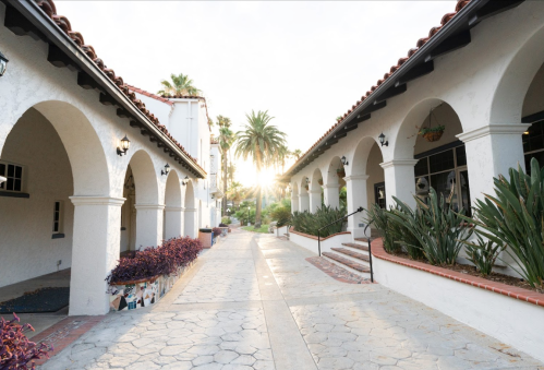 A sunlit pathway between arched buildings, lined with palm trees and greenery, creating a serene atmosphere.