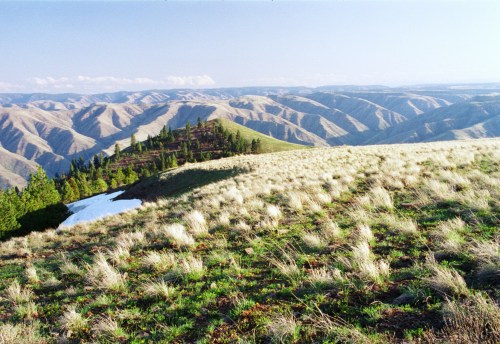 A panoramic view of rolling hills covered in grass, with patches of snow and trees in the foreground under a clear sky.