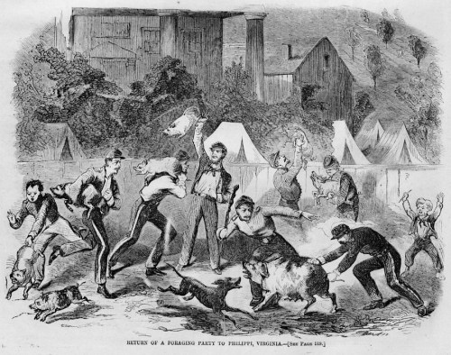 Illustration of a chaotic scene with people and animals, depicting a foraging party returning to Philippi, Virginia.