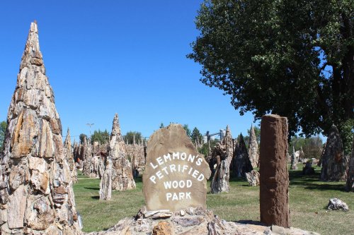 Sign for Lemmon's Petrified Wood Park surrounded by unique petrified wood formations under a clear blue sky.