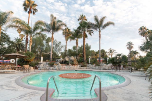 A serene pool surrounded by palm trees and lush greenery under a cloudy sky.