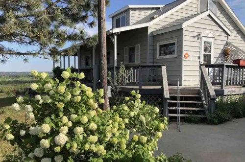A charming gray house with a porch, surrounded by lush green plants and blooming white flowers under a clear blue sky.