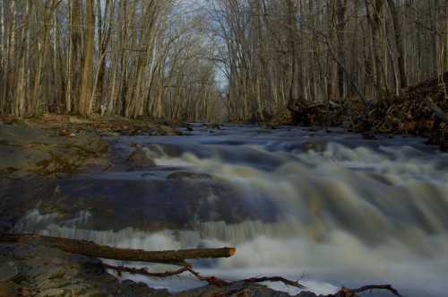 A serene river flows through a forest, surrounded by bare trees and rocky banks, under a clear blue sky.