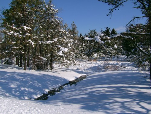 A snowy landscape with a small stream winding through trees, under a clear blue sky.