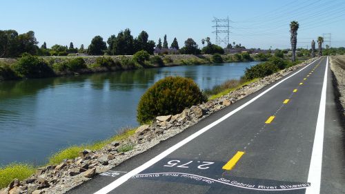 A scenic bike path alongside a river, lined with trees and power lines in the background.