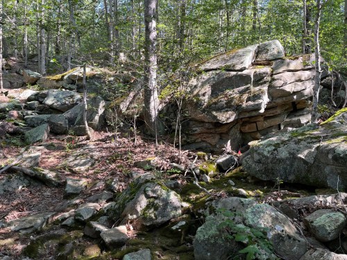 A rocky landscape in a forest, featuring large boulders, trees, and patches of moss on the ground.