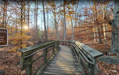 A wooden bridge leads through a forest with autumn leaves, surrounded by tall trees and soft sunlight.