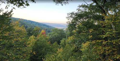 A scenic view of rolling hills and trees, showcasing vibrant green foliage under a soft sunset sky.