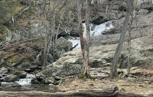 A serene landscape featuring a waterfall cascading over rocks, surrounded by trees and a flowing stream.