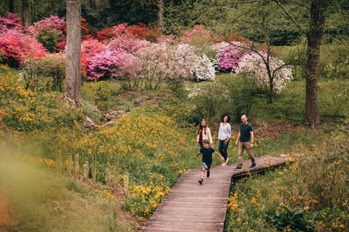 A family walks along a wooden path through a vibrant garden filled with colorful flowers and greenery.