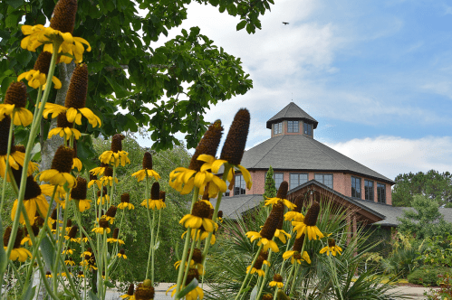 A building with a circular roof surrounded by vibrant yellow flowers and greenery under a partly cloudy sky.