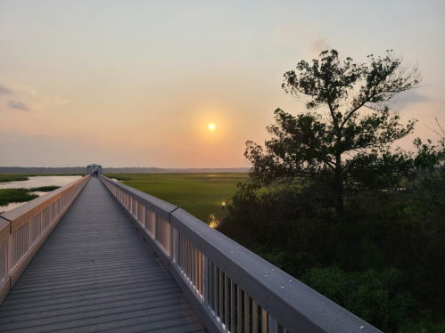 A wooden walkway leads towards a sunset over a marsh, with a tree on the right and water on both sides.