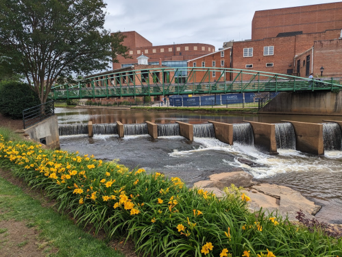 A green bridge spans a river with small waterfalls, surrounded by yellow flowers and brick buildings in the background.