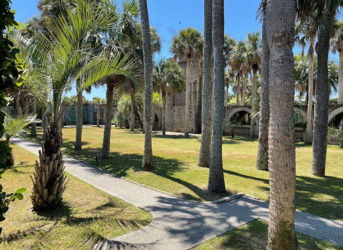 A sunny park with palm trees and a pathway, featuring stone arches in the background.