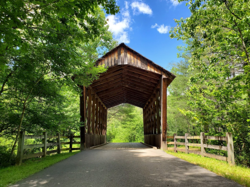 A wooden covered bridge surrounded by lush greenery and a clear blue sky, leading down a paved path.
