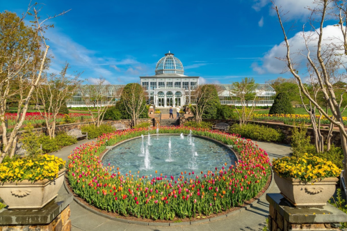A vibrant garden with colorful tulips and a fountain, featuring a large glass conservatory in the background under a blue sky.