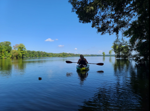 A person kayaking on a calm lake surrounded by trees under a clear blue sky.